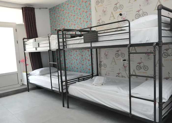 Flamingo Hostel