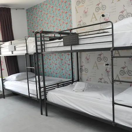 Flamingo אכסניה